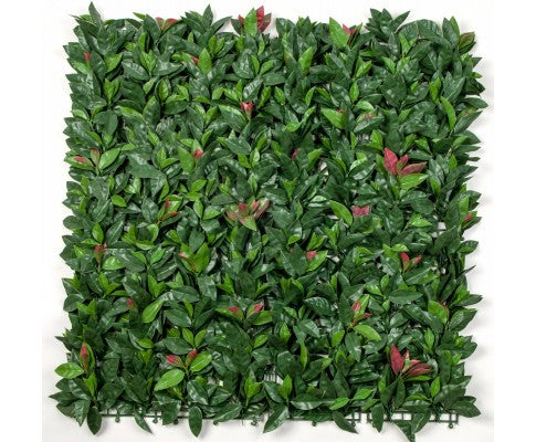 Photinia (Red Robin) Leaf Screens / Panels UV Stabilised 1m X 1m - JVEES