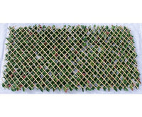 Photinia Hedge Extendable Trellis / Screen 2M x 1M - JVEES