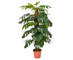 Artificial Philodendron 140cm - JVEES