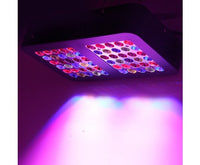 300W LED Grow Light Full Spectrum Reflector - JVEES