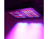 300W LED Grow Light Full Spectrum Reflector - JVEES