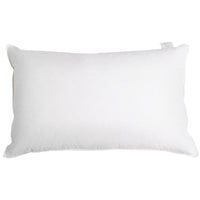 2 Pcs Duck Feathers Down Pillow w/ Bag - JVEES