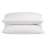 Set of 2 Goose Feathers & Down Pillow - JVEES