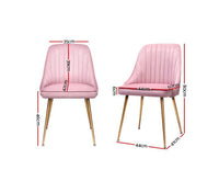 Set of 2 Dining Chairs Modern Iron Legs Velvet Pink - JVEES