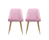 Set of 2 Dining Chairs Modern Iron Legs Velvet Pink - JVEES