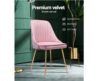 Set of 2 Dining Chairs Modern Iron Legs Velvet Pink - JVEES