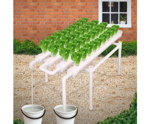 36 Site Hydroponic Grow Tool Kits Vegetable Garden System 220V Water Pump