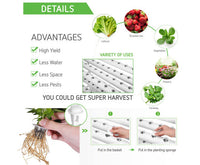 36 Site Hydroponic Grow Tool Kits Vegetable Garden System 220V Water Pump