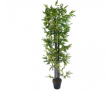 Artificial Japanese Bamboo on a Black Trunk 1.8m - JVEES