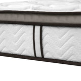 Latex Euro Top Pocket Spring Mattress Back Support Double - JVEES